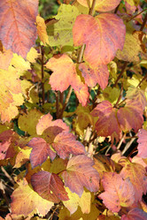 Similar image 5530891