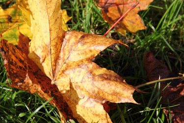 Similar image 5530892