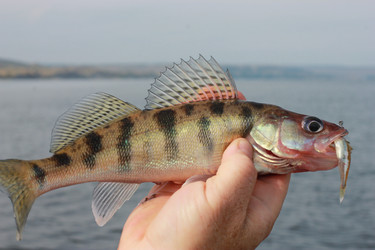 Similar image 5530909