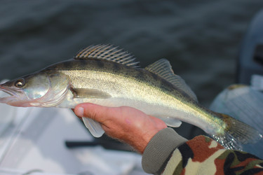 Similar image 5530920