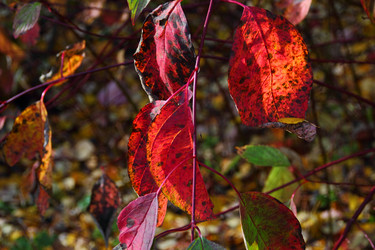 Similar image 5530925