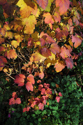 Similar image 5530927