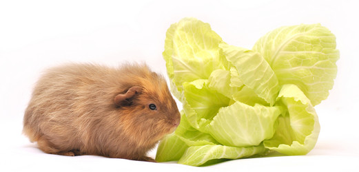 Similar image 5530941