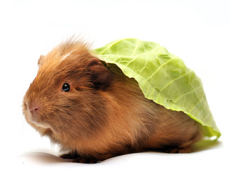 Similar image 5530942