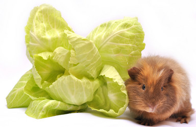 Similar image 5530943