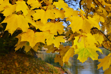 Similar image 5530948