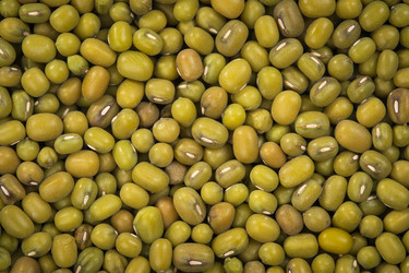 Similar image 5530962