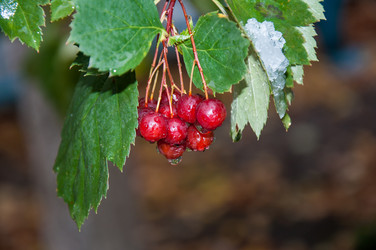 Similar image 5530987