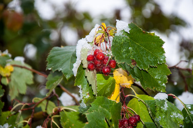 Similar image 5530988