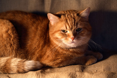 Similar image 5531028