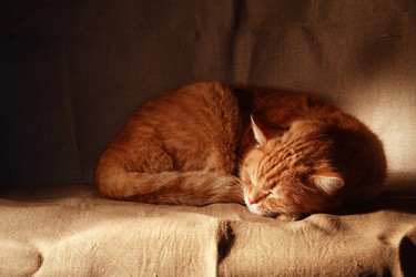 Similar image 5531029