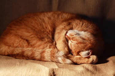 Similar image 5531030