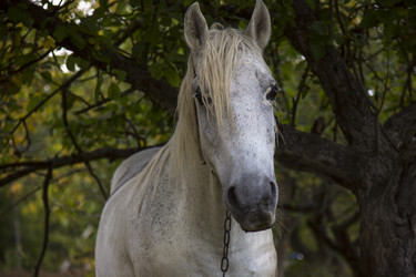 Similar image 5531033