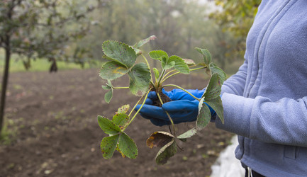 Similar image 5531045