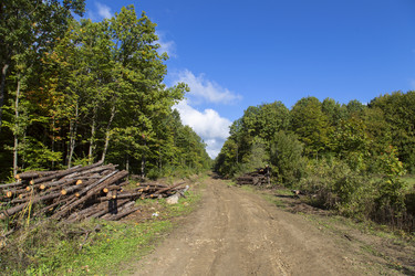 Similar image 5531046