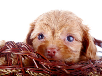 Similar image 5531049