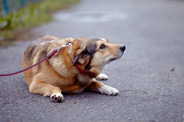 Similar image 5531074