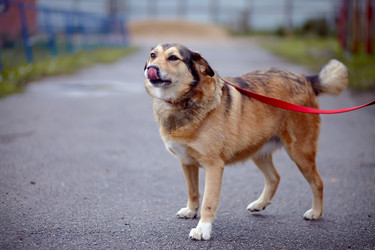 Similar image 5531075