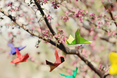 Similar image 5531126