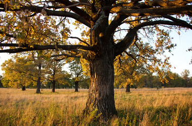 Similar image 5531284