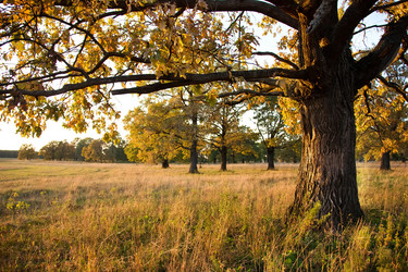 Similar image 5531285