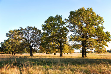 Similar image 5531286