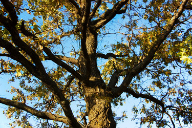 Similar image 5531287