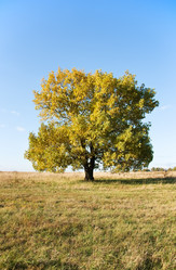 Similar image 5531290