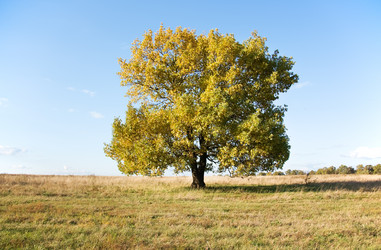 Similar image 5531292