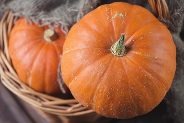 Similar image 5531447