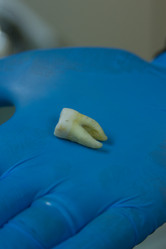 Similar image 5531550