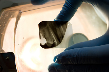 Similar image 5531561