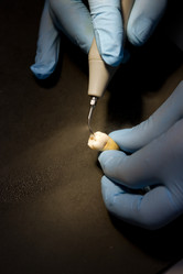 Similar image 5531562