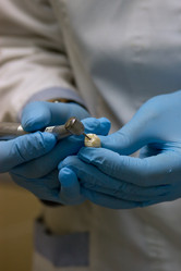 Similar image 5531564