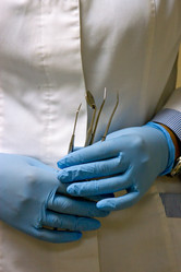 Similar image 5531572