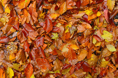 Similar image 5531844