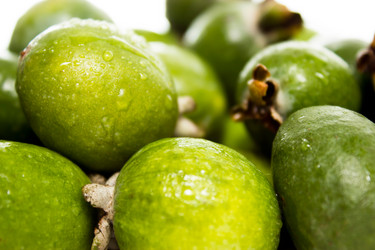 Similar image 5531951