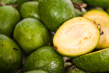 Similar image 5531952