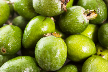 Similar image 5531959