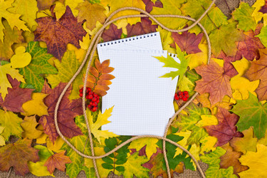 Similar image 5531980