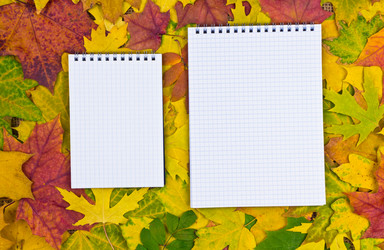 Similar image 5531983