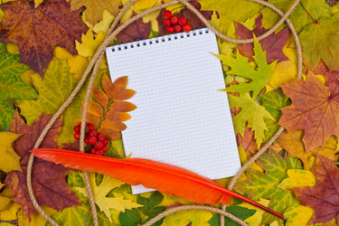 Similar image 5531985