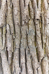 Similar image 5532015