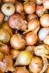 Similar image 5532036