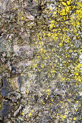 Similar image 5532044