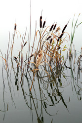 Similar image 5532066