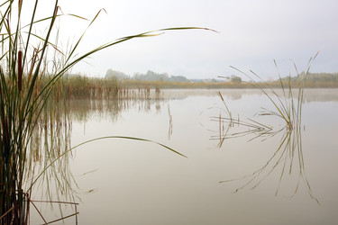 Similar image 5532067