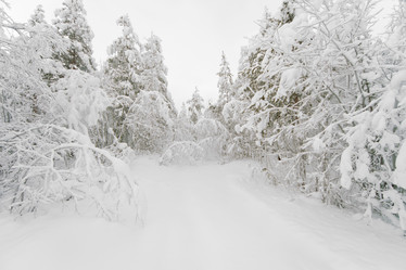 Similar image 5532128