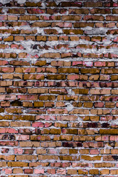 Similar image 5532174