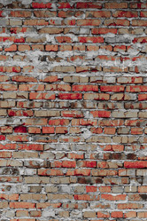 Similar image 5532182